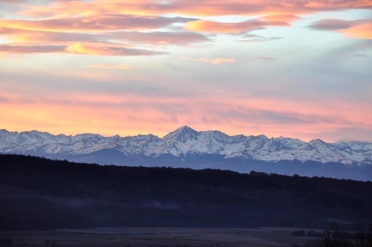 Le Gite Du Castelbosc Hagedet Buitenkant foto
