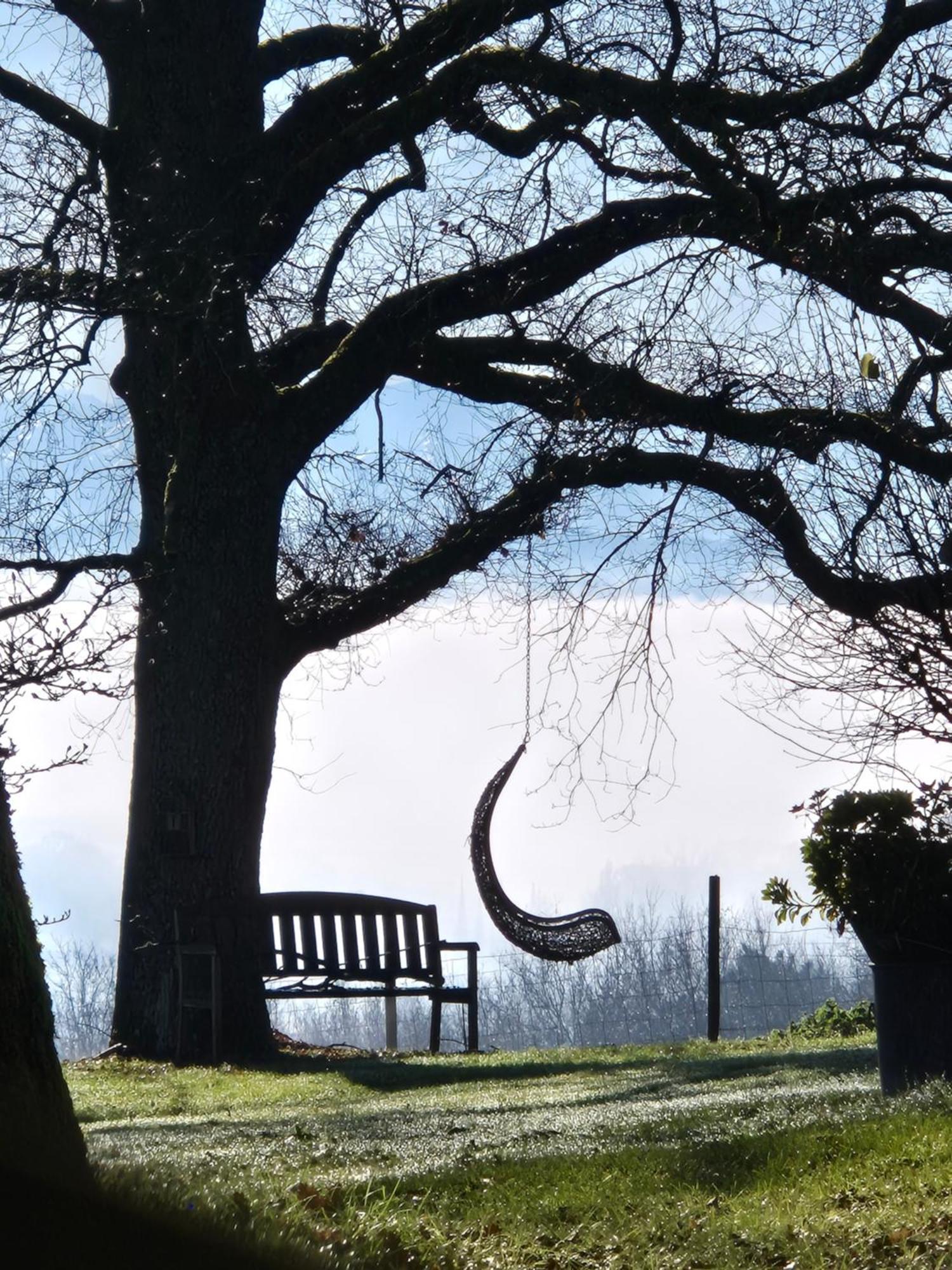 Le Gite Du Castelbosc Hagedet Buitenkant foto